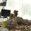 tournage-ecureuil