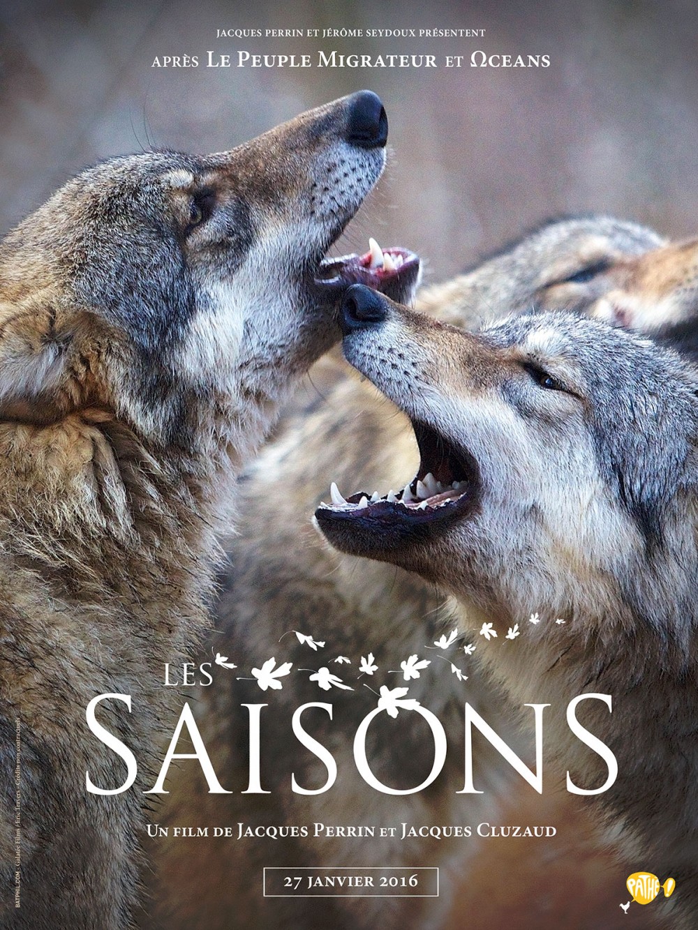 FILMOGRAPHIE - ANIMAL VISUEL
